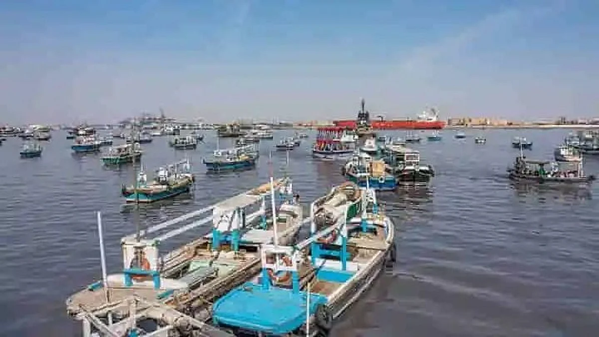 ग्वादर में बुनियादी सुविधाओं और रोजगार की मांग को लेकर हजारों लोगों ने किया प्रदर्शन