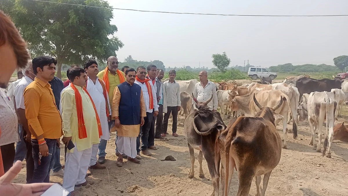 उ0प्र0 गोसेवा आयोग के उपाध्यक्ष अतुल सिंह ने हरदोई के गो आश्रय स्थलों का किया निरीक्षण