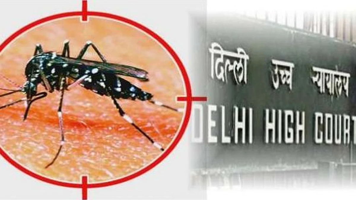 Dengue Outbreak: दिल्ली हाईकोर्ट ने डेंगू के प्रकोप को नियंत्रित करने के लिए सरकार से जवाब मांगा