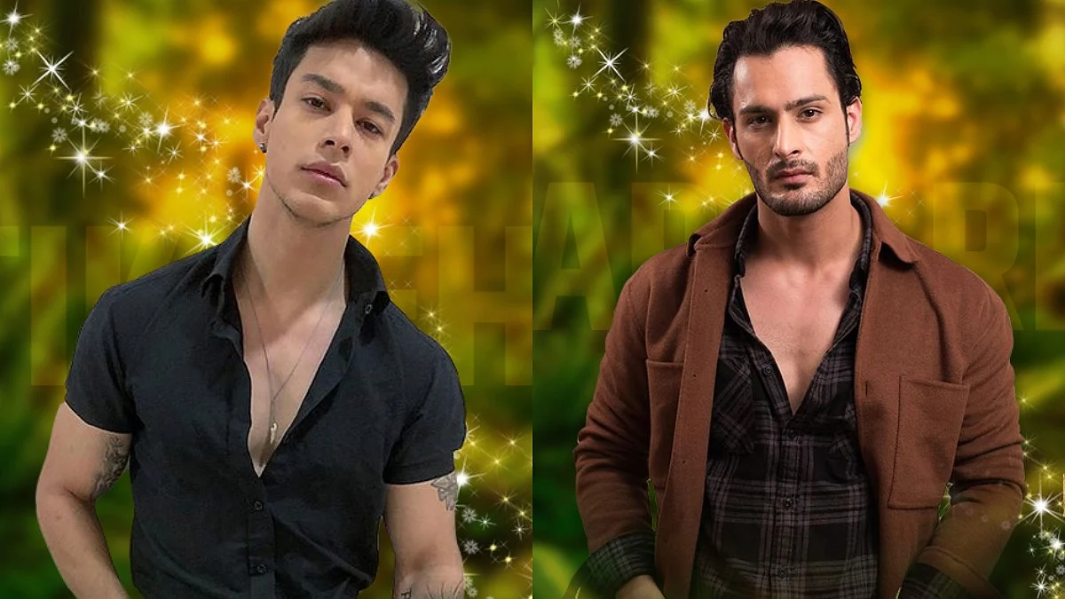 Bigg Boss 15: किचन ड्यूटी को लेकर उमर रियाज और प्रतीक सहजपाल के बीच हुई जोरदार बहस, 'खानदार' तक पहुंची बात