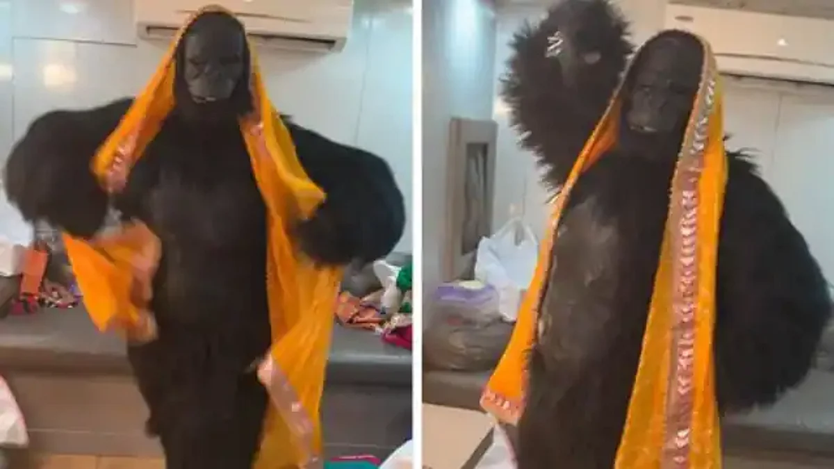 VIDEO: 'चोली के पीछे क्या है' पर राखी सावंत ने गोरिल्ला बन किया ऐसा डांस कि हंसी नहीं रुकेगी आपकी
