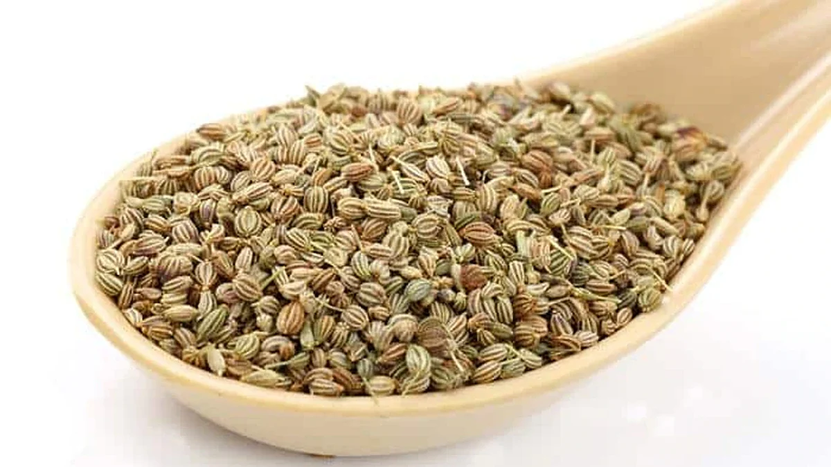 Health Tips: सर्दियों में अजवाइन का सेवन करने से मिलेंगे ये हेल्थ बेनिफिट्स