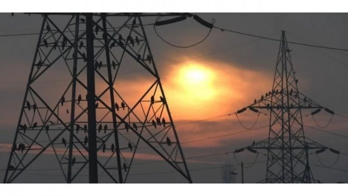CEL Privatisation:सरकार ने सीईएल के निजीकरण पर रोक लगाई, कर्मचारी संघ ने उठाए थे सवाल