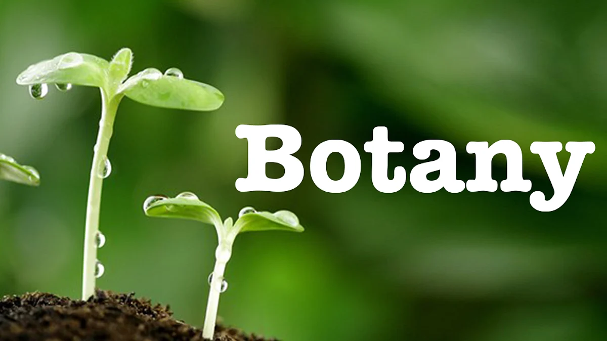 Do you know What is Botany ? Read Five Cool Facts About Botany