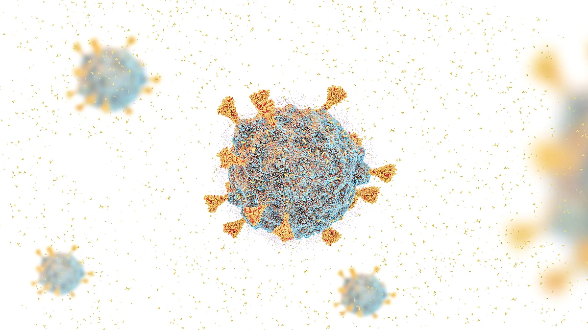 First death from omicron variant in India: भारत में ओमिक्रॉन वेरिएंट से हुई पहली मौत, 72 वर्ष का था मरीज़