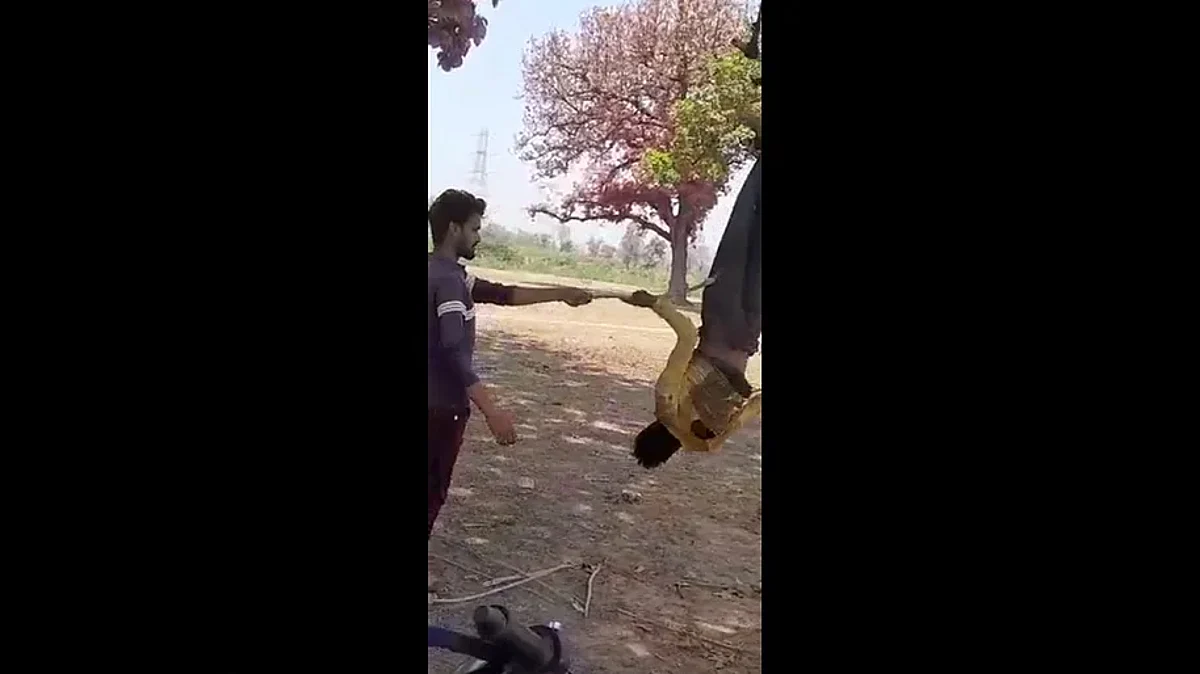 छत्तीसगढ़: पेड़ से उल्टा लटकाकर बेदर्दी से युवक की पिटाई का वीडियो वायरल, पांच आरोपी गिरफ्तार