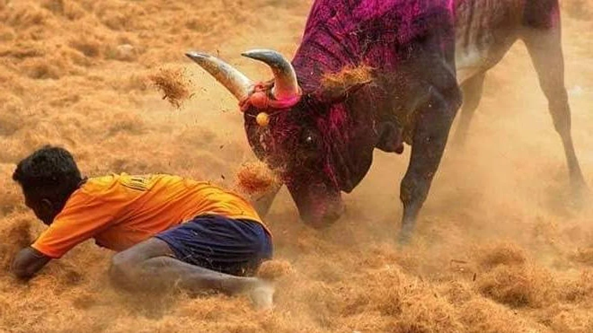 उत्तर प्रदेश: खेत में काम कर रहे किसान को सांड ने मौत के घाट उतारा