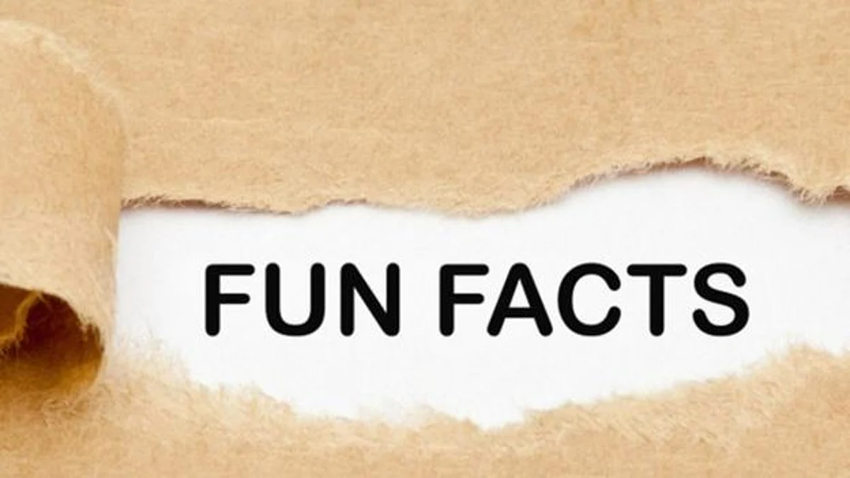 Fun Facts : Do you know these amazing facts?