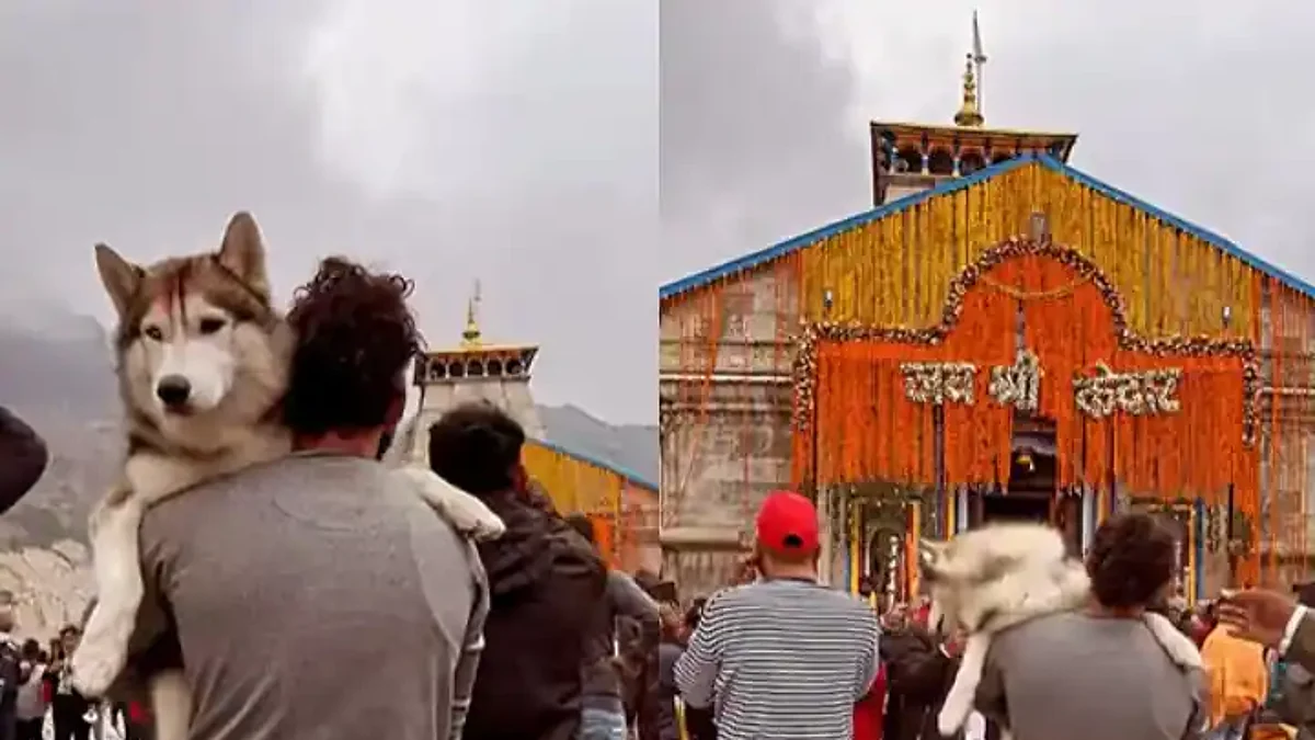 Kedarnath Dham: केदारनाथ मंदिर परिसर में कुत्ते के साथ एक यात्री के घूमने पर मंदिर समिति का रूख सख्त