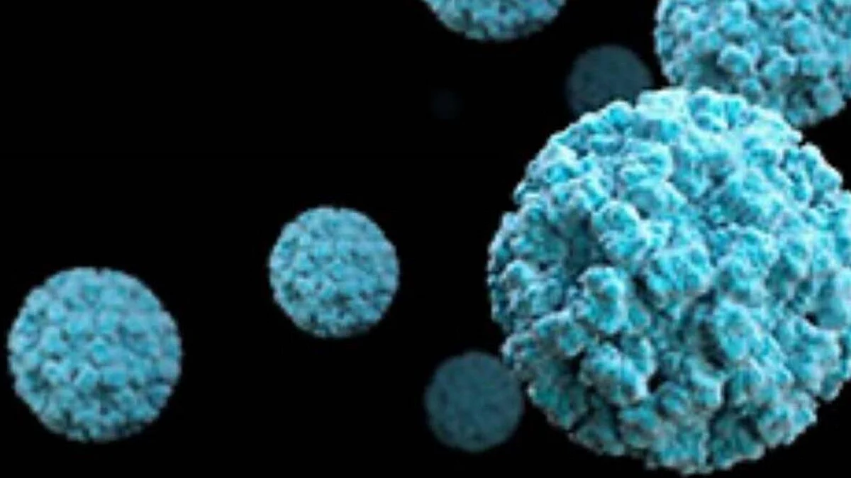 Norovirus in Kerala: केरल में अब नोरोवायरस की दहशत, 2 केस मिले; जानें कितना खतरनाक है ये वायरस