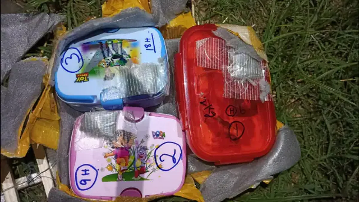 जम्मू-कश्मीर: पाकिस्तान ने ड्रोन के जरिए टिफिन में भरकर भेजे आईईडी बम, BSF ने नाकाम की साजिश