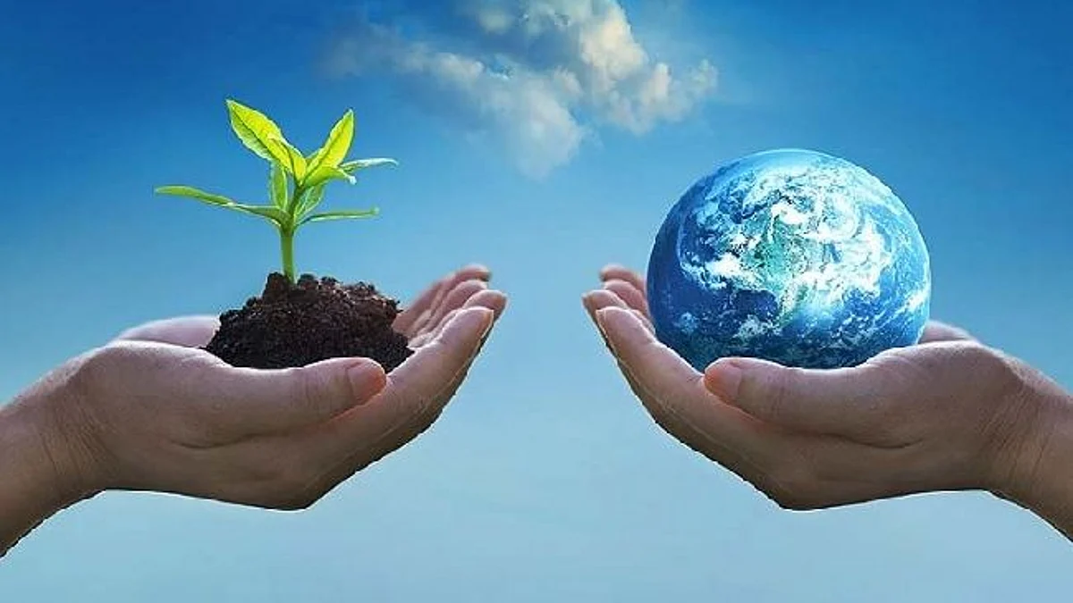 World Environment Day: दुनिया भर में आज मनाया जा रहा है 'विश्व पर्यावरण दिवस'