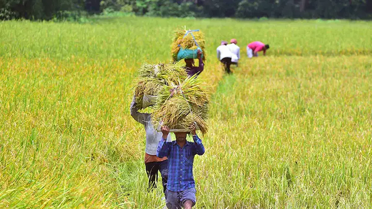 PM Kisan: किसानों के लिए खुशखबरी, eKYC की डेडलाइन 31 जुलाई तक बढ़ी, जानिए क्या है प्रक्रिया?