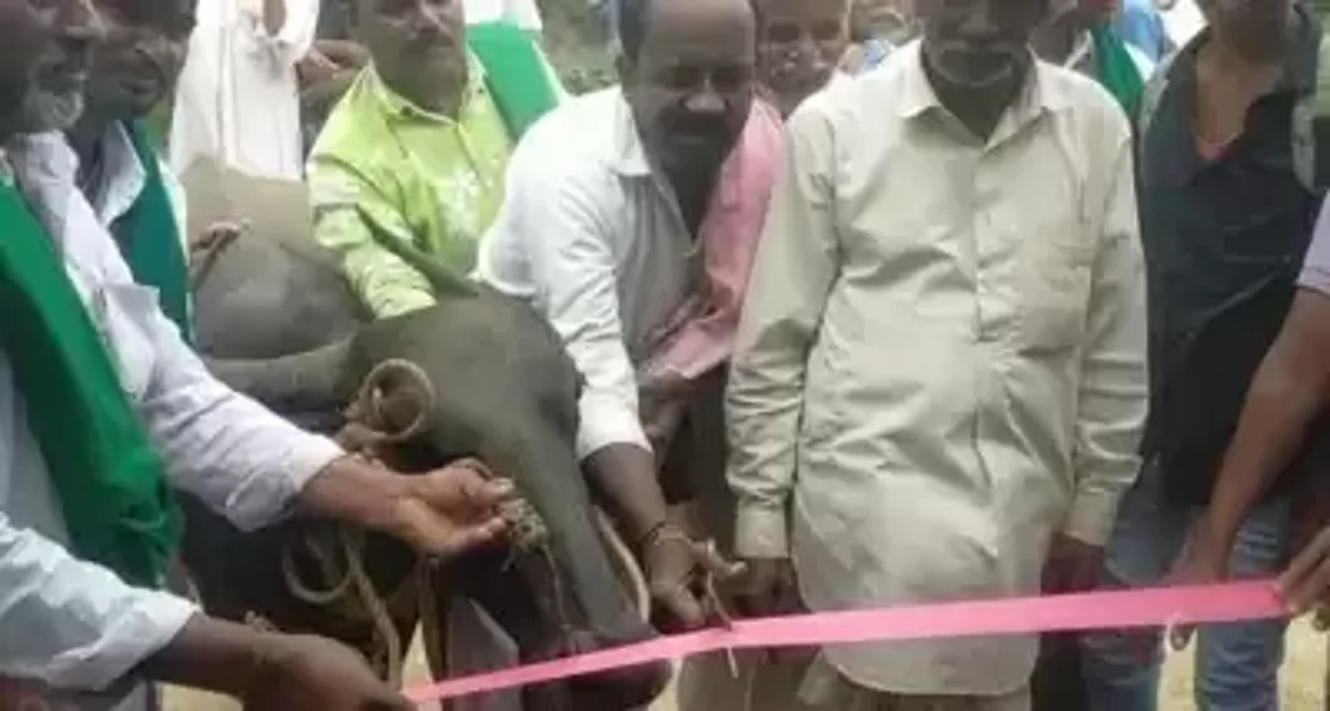 कर्नाटक: गांव वालों ने बस शेल्टर के उद्घाटन के लिए भैंस को बनाया चीफ गेस्ट, जानिए पूरा मामला