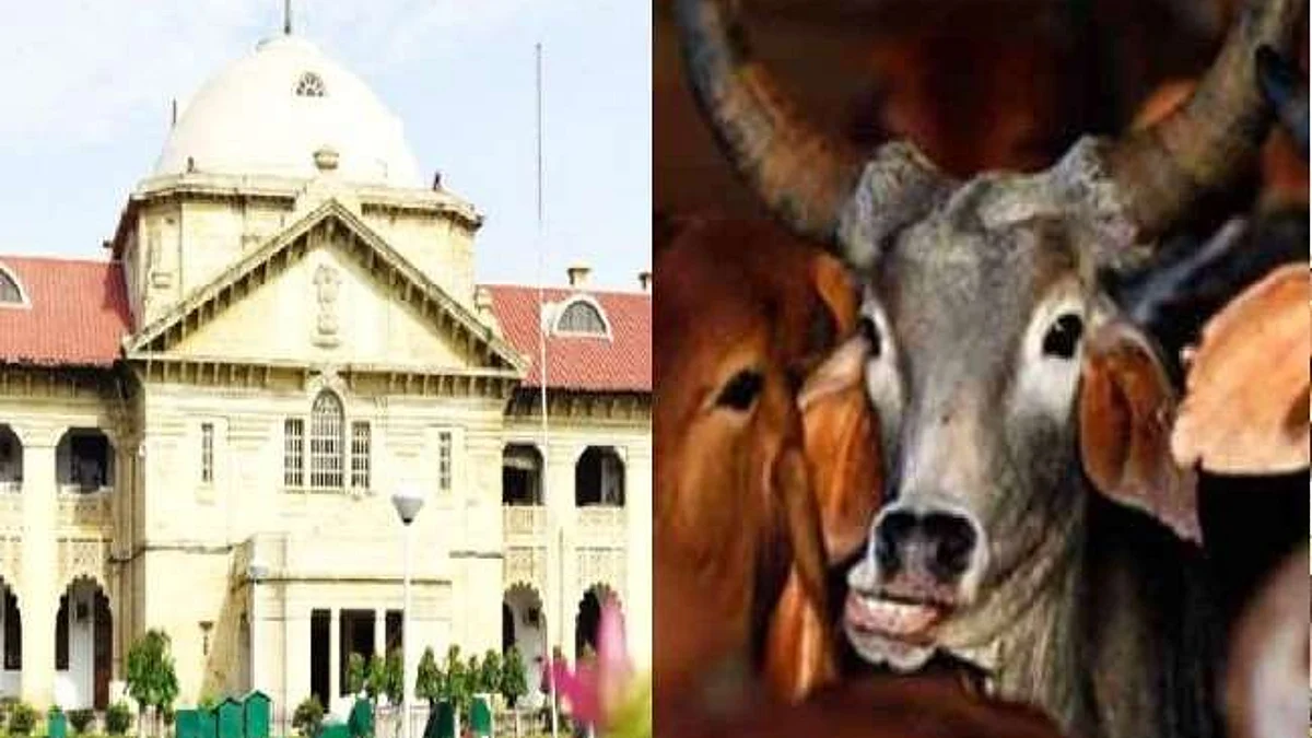 राज्य में गायों का परिवहन यूपी गोहत्या रोकथाम अधिनियम के प्रावधानों का उल्लंघन नहीं है: इलाहाबाद हाई कोर्ट