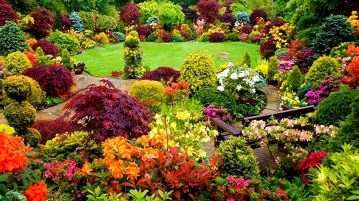 Vastu Tips: फूलों में भी होती है चमत्कारी शक्तियां, अगर आपके आसपास मौजूद यह फूल तो बदल सकती है आपकी किस्मत