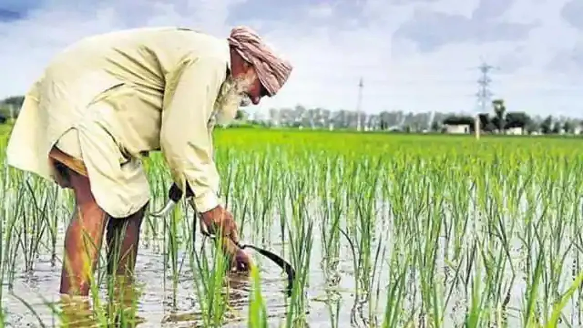 PM Kisan Yojana: प्रधानमंत्री किसान सम्मान निधि योजना के तहत 21 लाख किसान पाए गए अपात्र, होगी वसूली