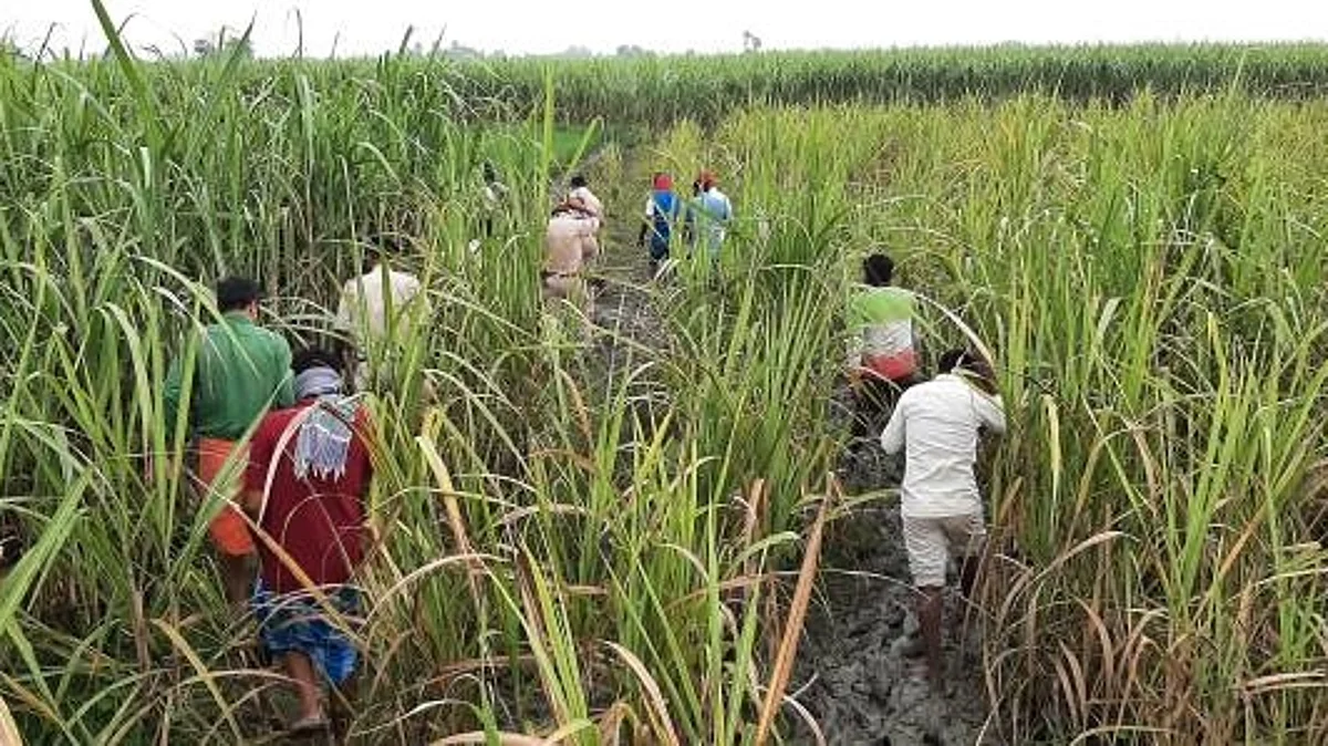 आंध्र प्रदेश: संपत्ति विवाद के चलते बड़े भाई ने ही की थी छोटे भाई की हत्या, एक महीने बाद खेत में मिला शव