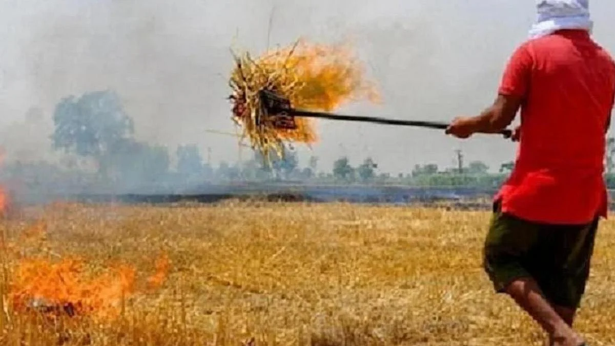 पराली पर MSP देगी हरियाणा सरकार, दाम तय करने के लिए बनाई कमेटी