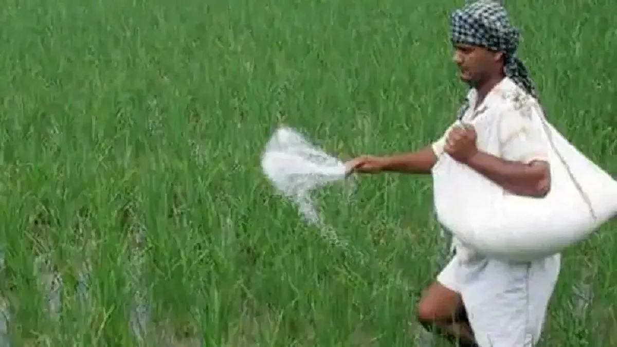 Rabi Season: उर्वरक मंत्रालय ने कहा- रबी सीजन में खाद की कोई कमी नहीं, सभी राज्यों को भेज रही सरकार