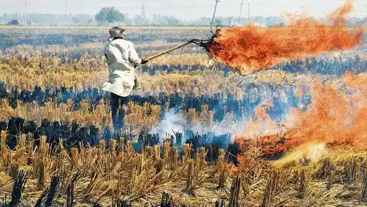 Delhi-NCR Pollution: एनएचआरसी ने कहा- किसानों को दोषी नहीं ठहरा सकते, चार राज्य सरकारों की विफलता जिम्मेदार