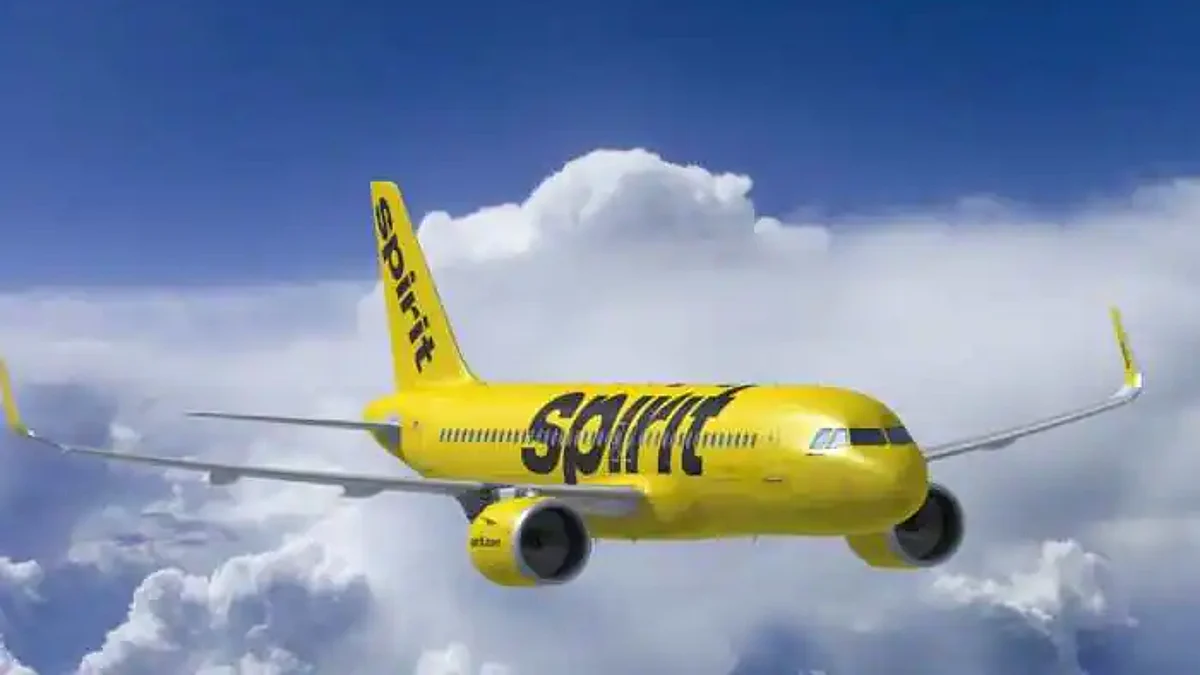 अमेरिका: बिजली गिरने के बाद Spirit Airlines के प्लेन की इमरजेंसी लैंडिंग