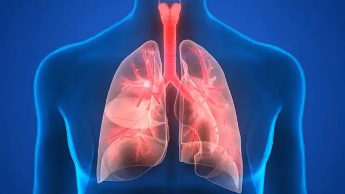 Pneumonia: जाने निमोनिया के बारे में, कैसे होता है और यह कितना खतरनाक होता है.!