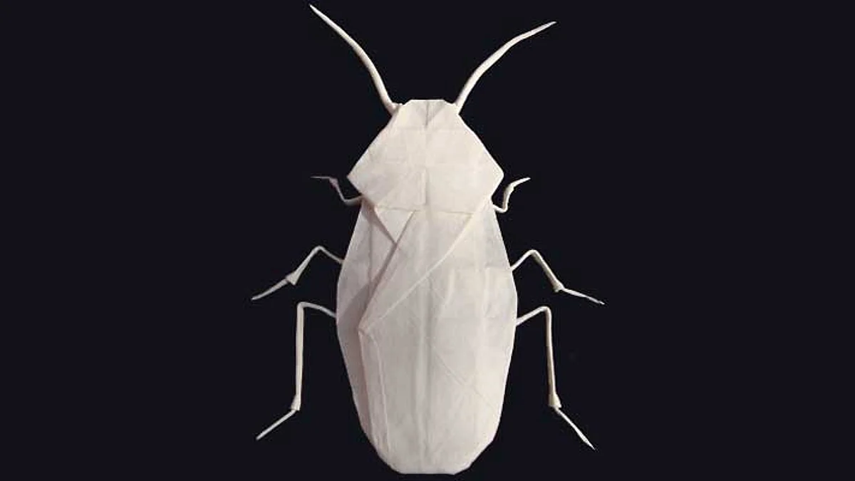Cockroach Startup: फंडिंग की किल्लत के बीच बढ़ी 'कॉकरोच स्टार्टअप' की मांग, जानिए क्या होता है यह..?