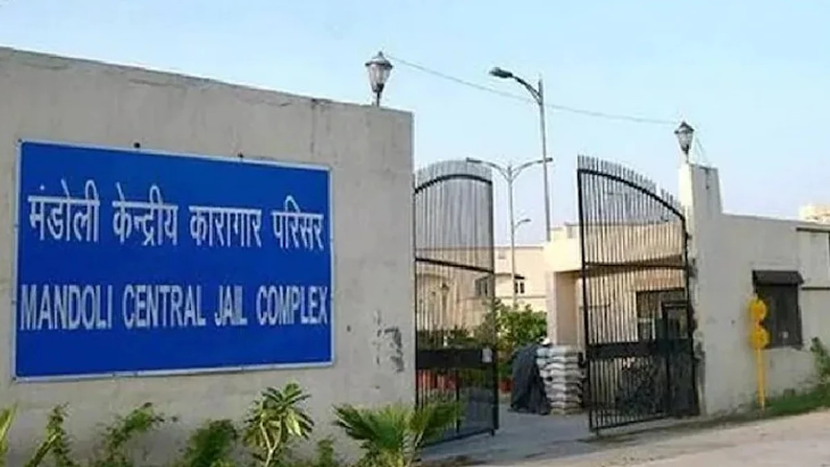 दिल्ली: तिहाड़, मंडोली और रोहिणी जेल में छापेमारी, 115 मोबाइल बरामद, 5 अधिकारियों को किया गया सस्पेंड